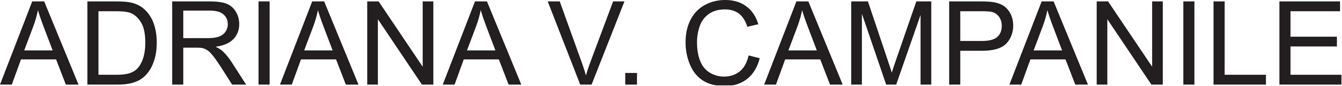 Adriana V. Campanile